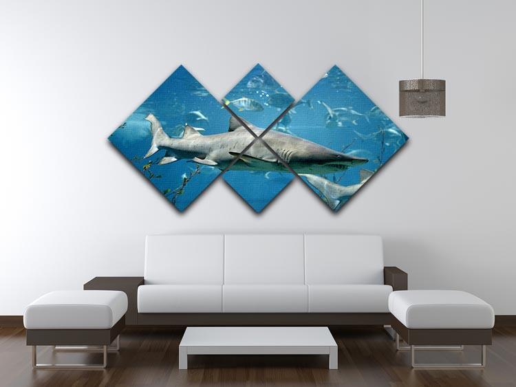 Marine fish underwater 4 Square Multi Panel Canvas  - Canvas Art Rocks - 3