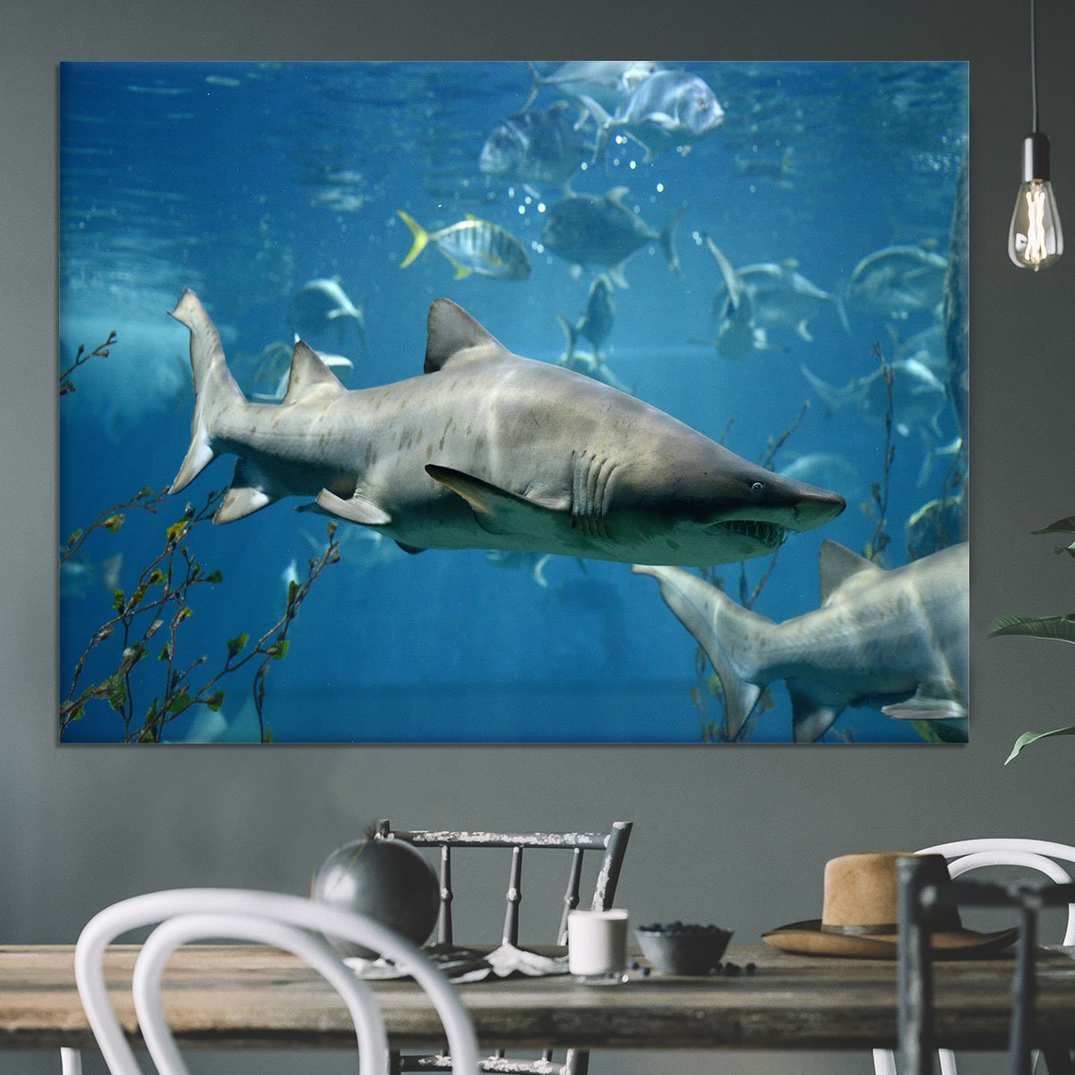 Marine fish underwater Canvas Print or Poster
