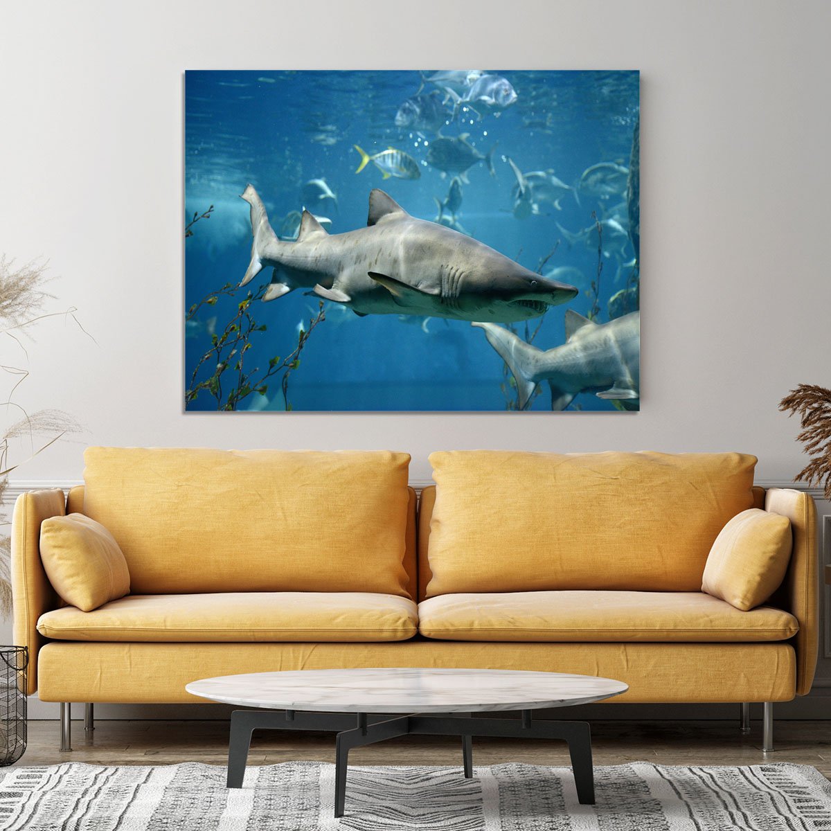 Marine fish underwater Canvas Print or Poster