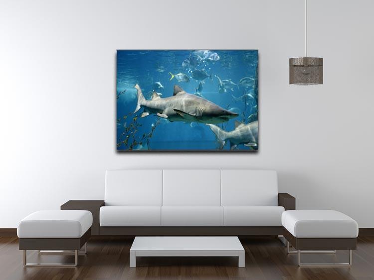 Marine fish underwater Canvas Print or Poster - Canvas Art Rocks - 4