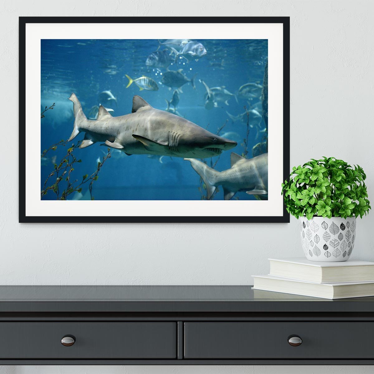 Marine fish underwater Framed Print - Canvas Art Rocks - 1
