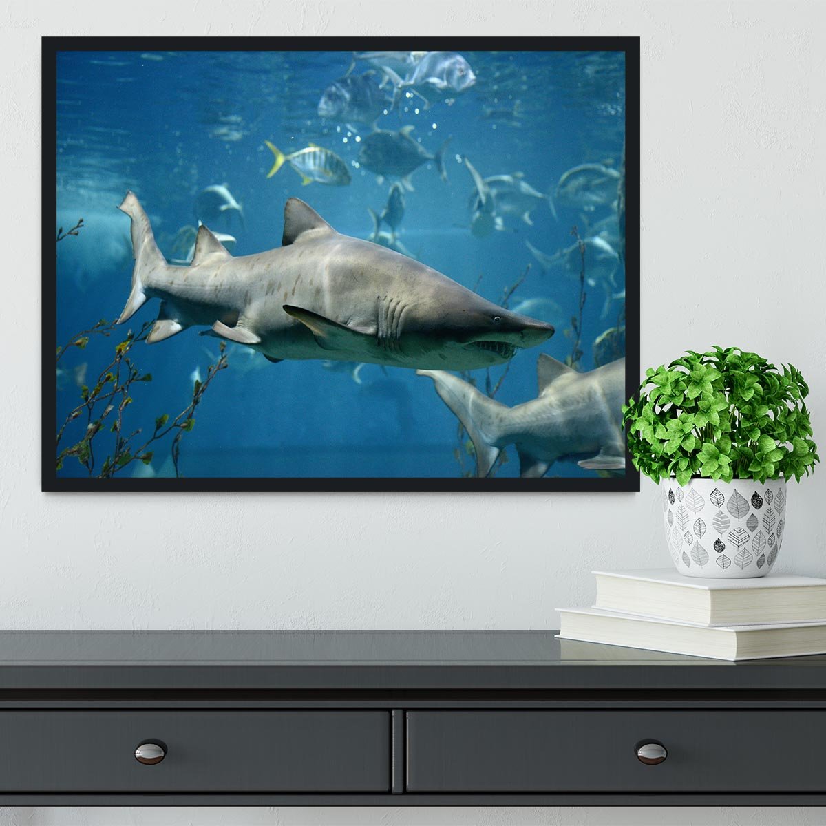 Marine fish underwater Framed Print - Canvas Art Rocks - 2