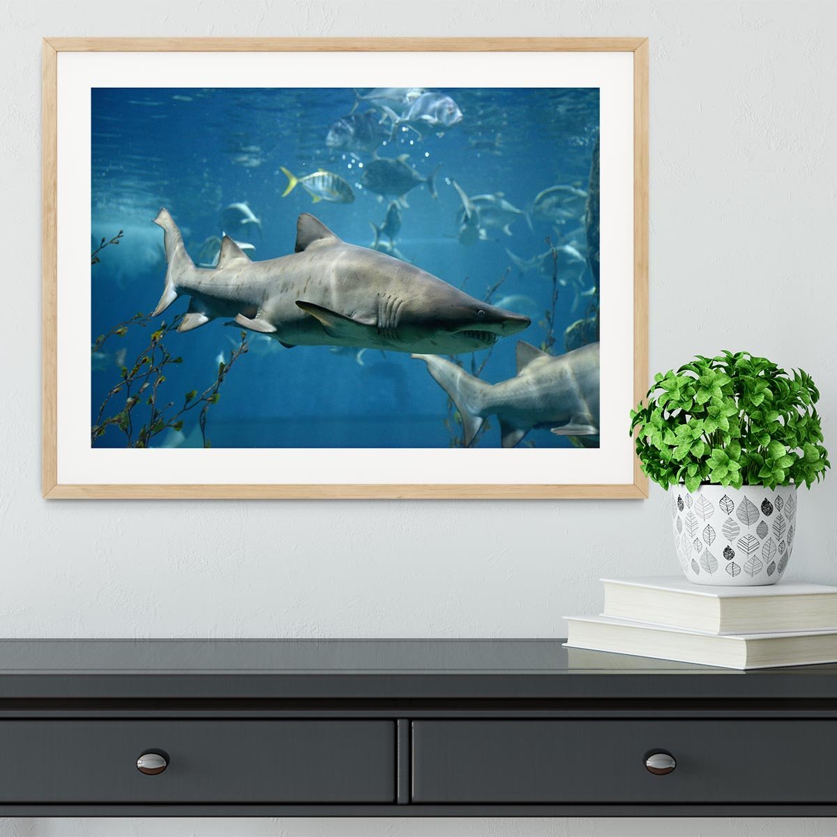 Marine fish underwater Framed Print - Canvas Art Rocks - 3