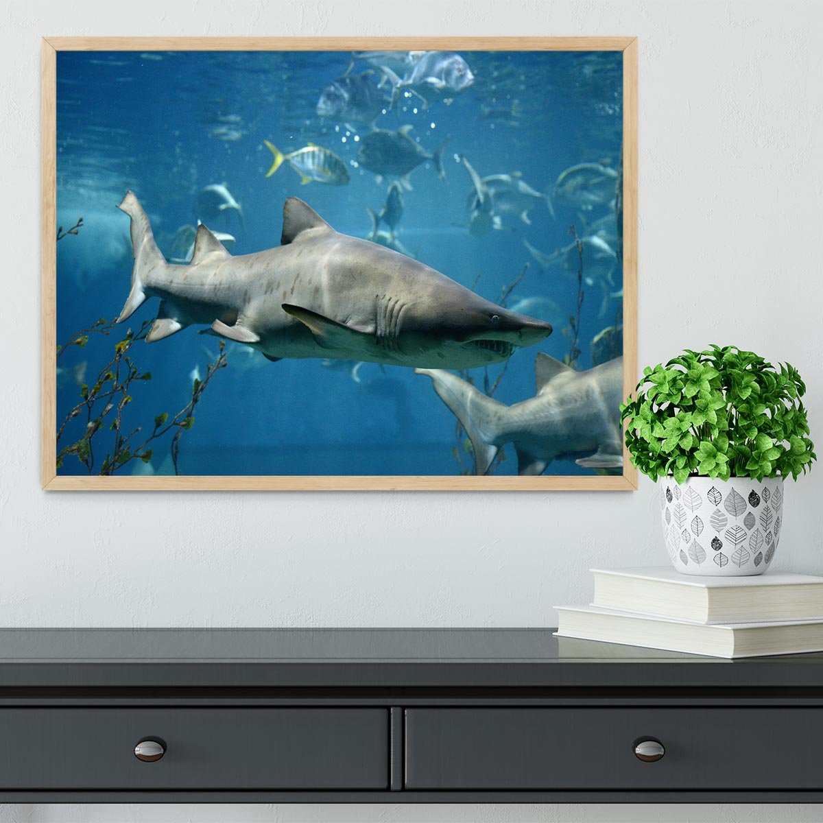 Marine fish underwater Framed Print - Canvas Art Rocks - 4