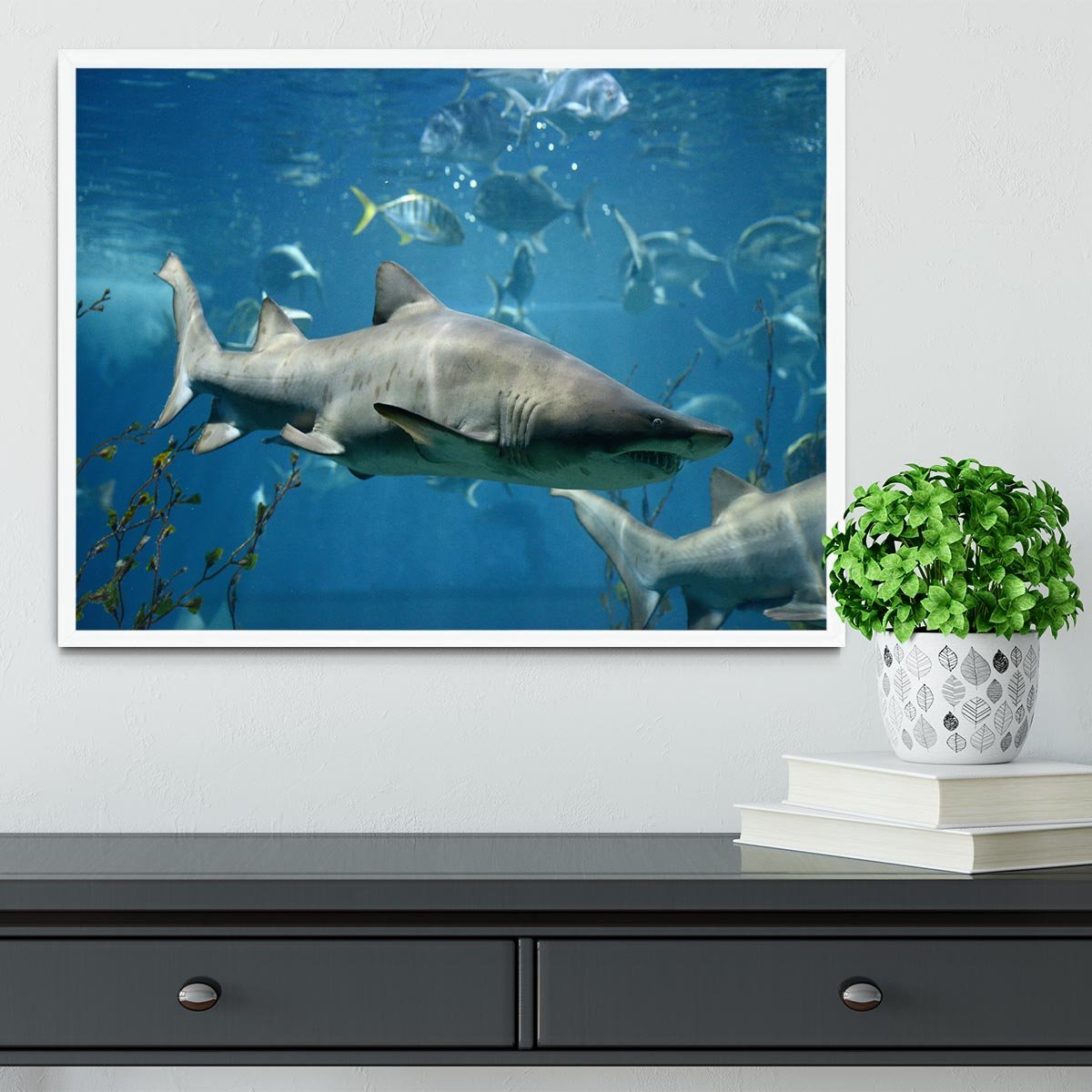 Marine fish underwater Framed Print - Canvas Art Rocks -6