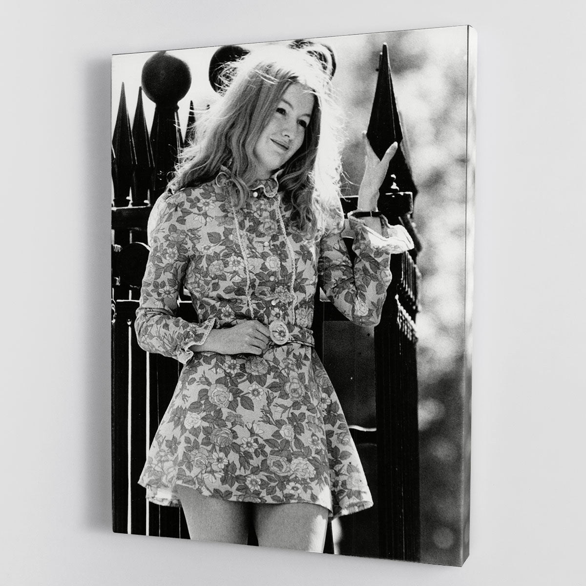 Mary Hopkin singer Canvas Print or Poster - Canvas Art Rocks - 1