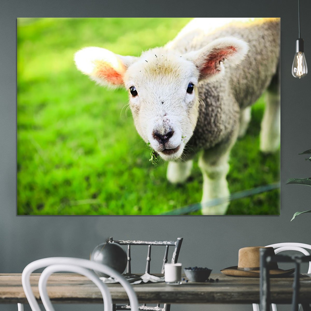 Mary had a little lamb Canvas Print or Poster