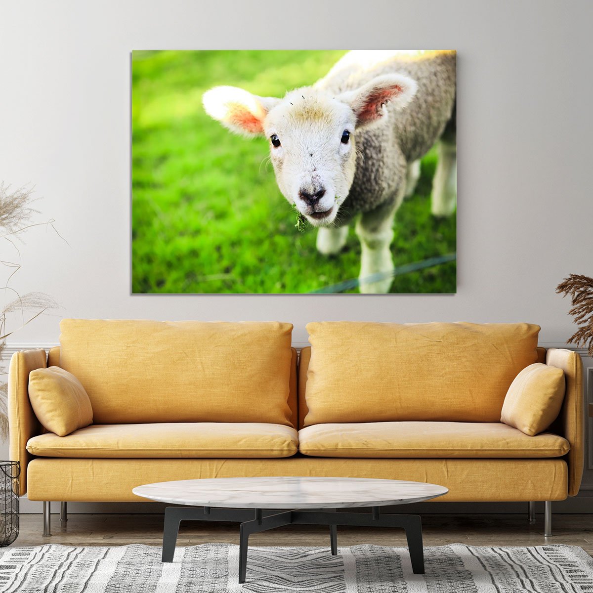 Mary had a little lamb Canvas Print or Poster