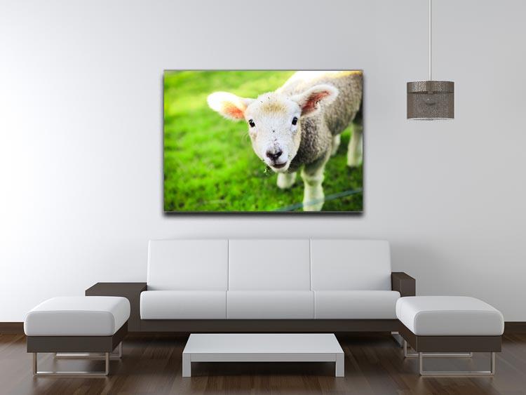 Mary had a little lamb Canvas Print or Poster - Canvas Art Rocks - 4