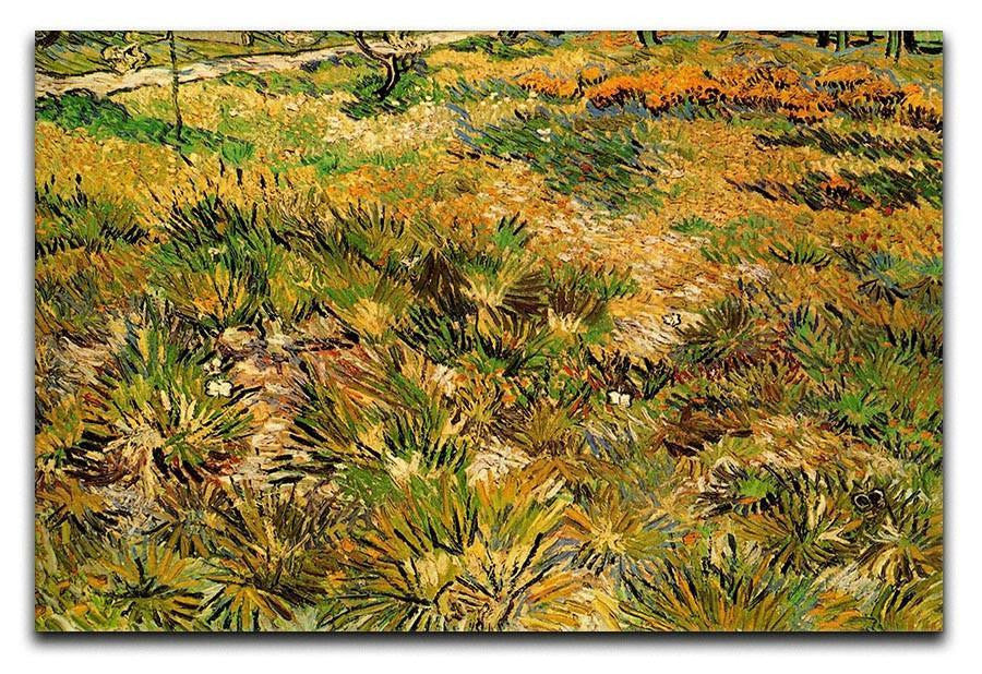 Meadow in the Garden of Saint-Paul Hospital by Van Gogh Canvas Print & Poster  - Canvas Art Rocks - 1