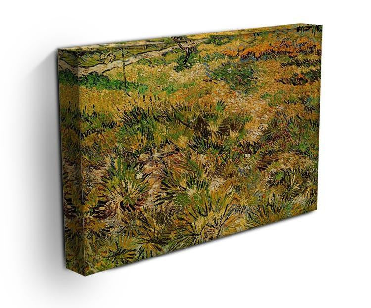 Meadow in the Garden of Saint-Paul Hospital by Van Gogh Canvas Print & Poster - Canvas Art Rocks - 3