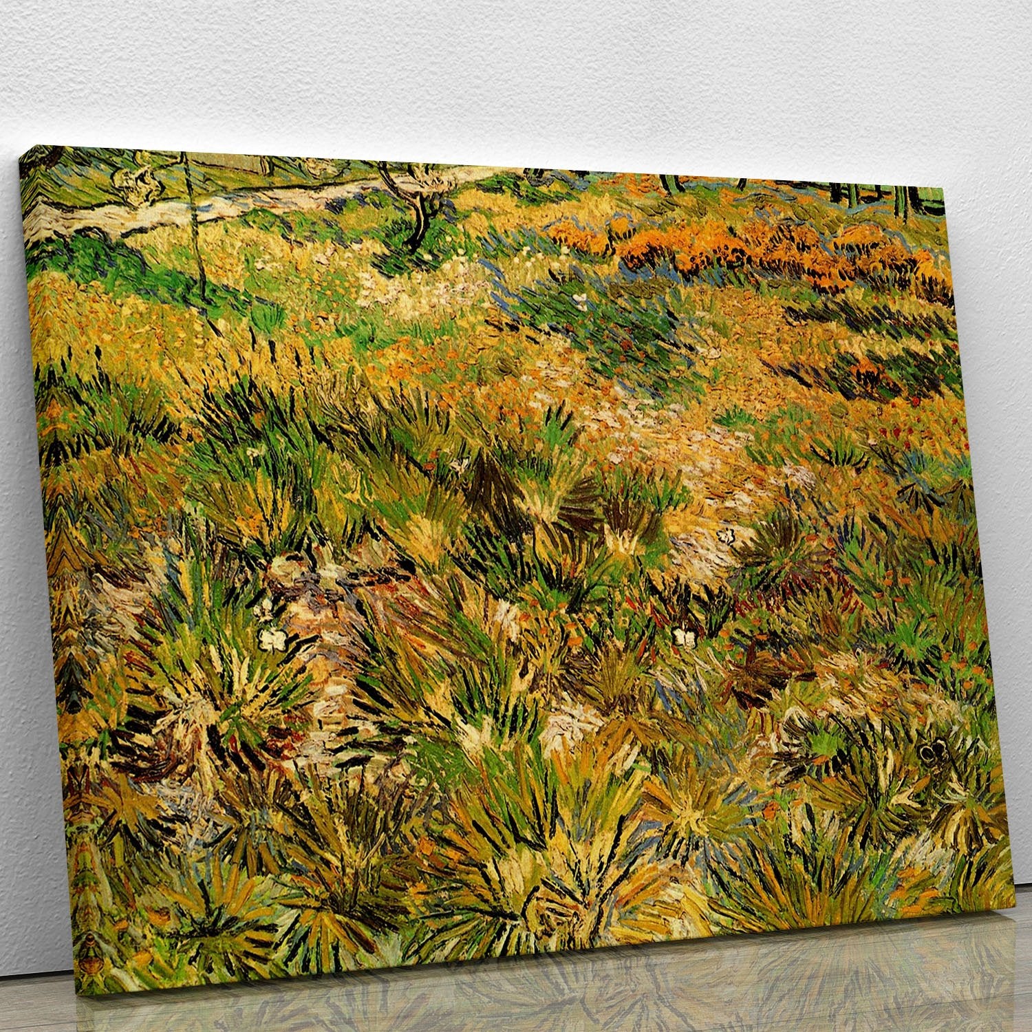 Meadow in the Garden of Saint-Paul Hospital by Van Gogh Canvas Print or Poster