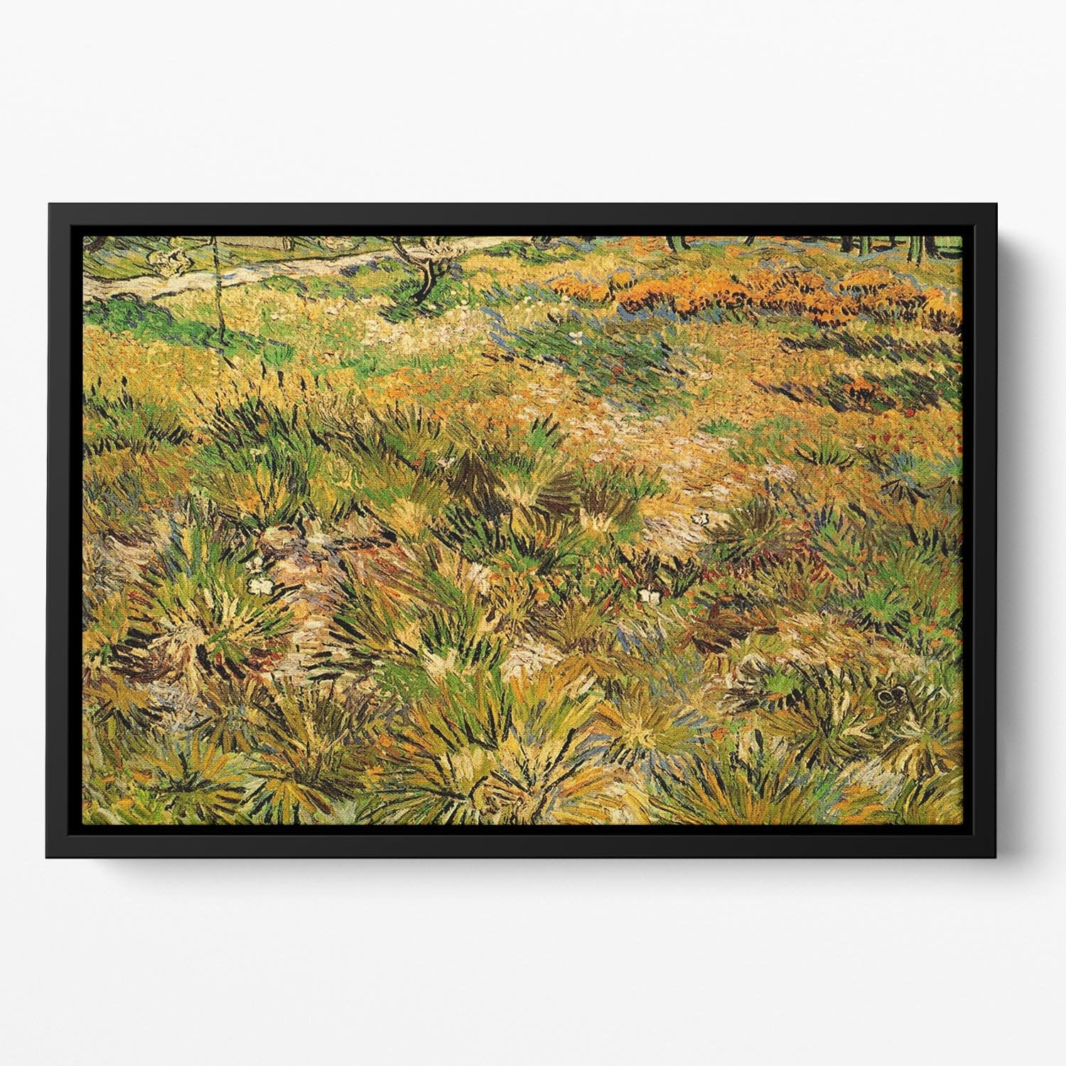 Meadow in the Garden of Saint-Paul Hospital by Van Gogh Floating Framed Canvas