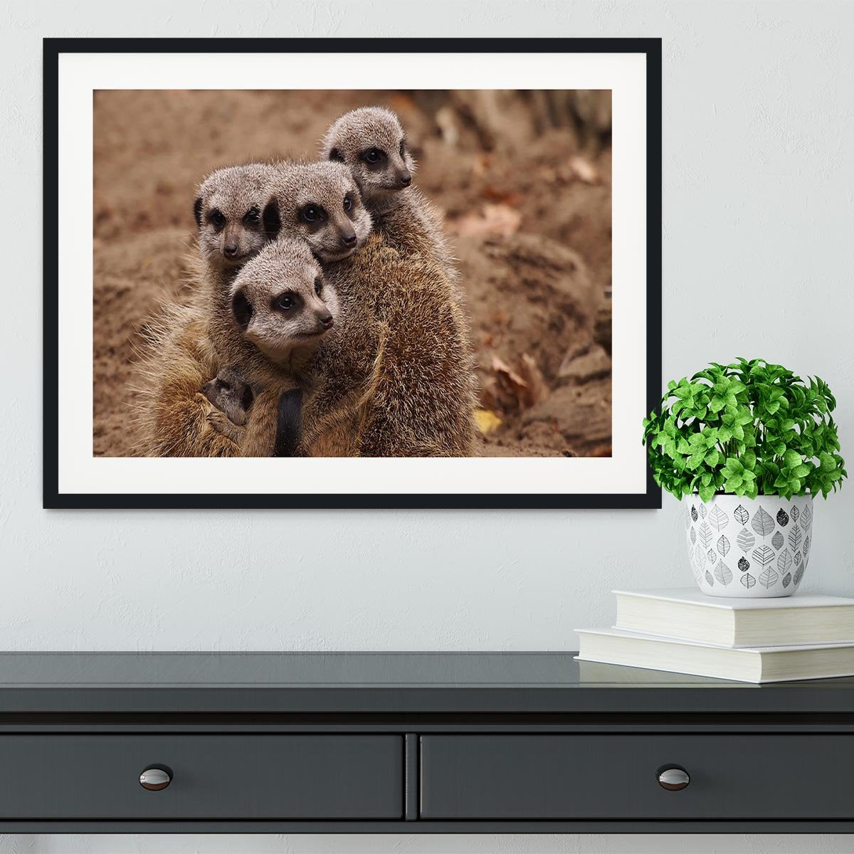 Meerkat family Framed Print - Canvas Art Rocks - 1