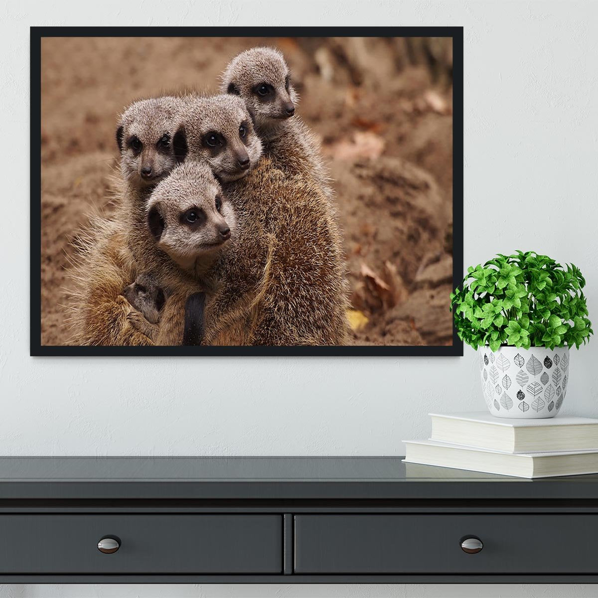 Meerkat family Framed Print - Canvas Art Rocks - 2