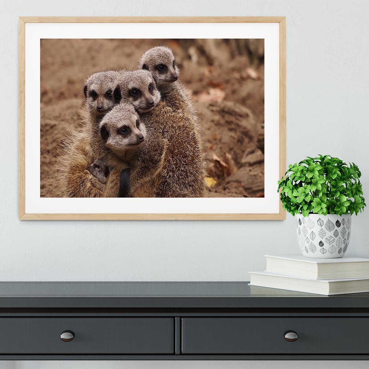 Meerkat family Framed Print - Canvas Art Rocks - 3