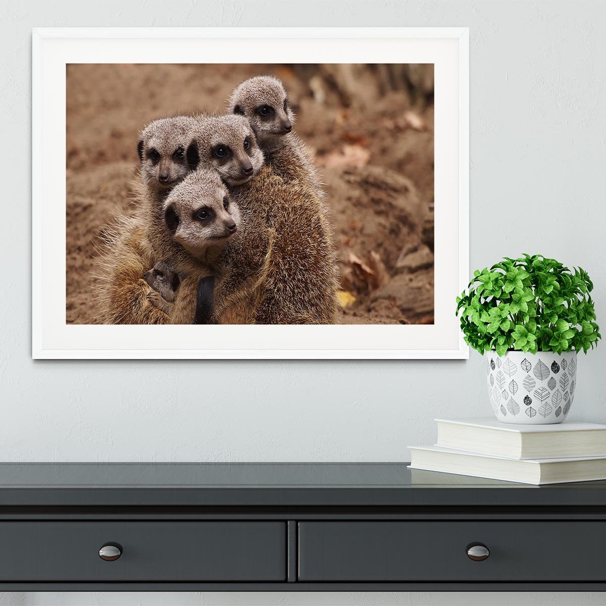 Meerkat family Framed Print - Canvas Art Rocks - 5