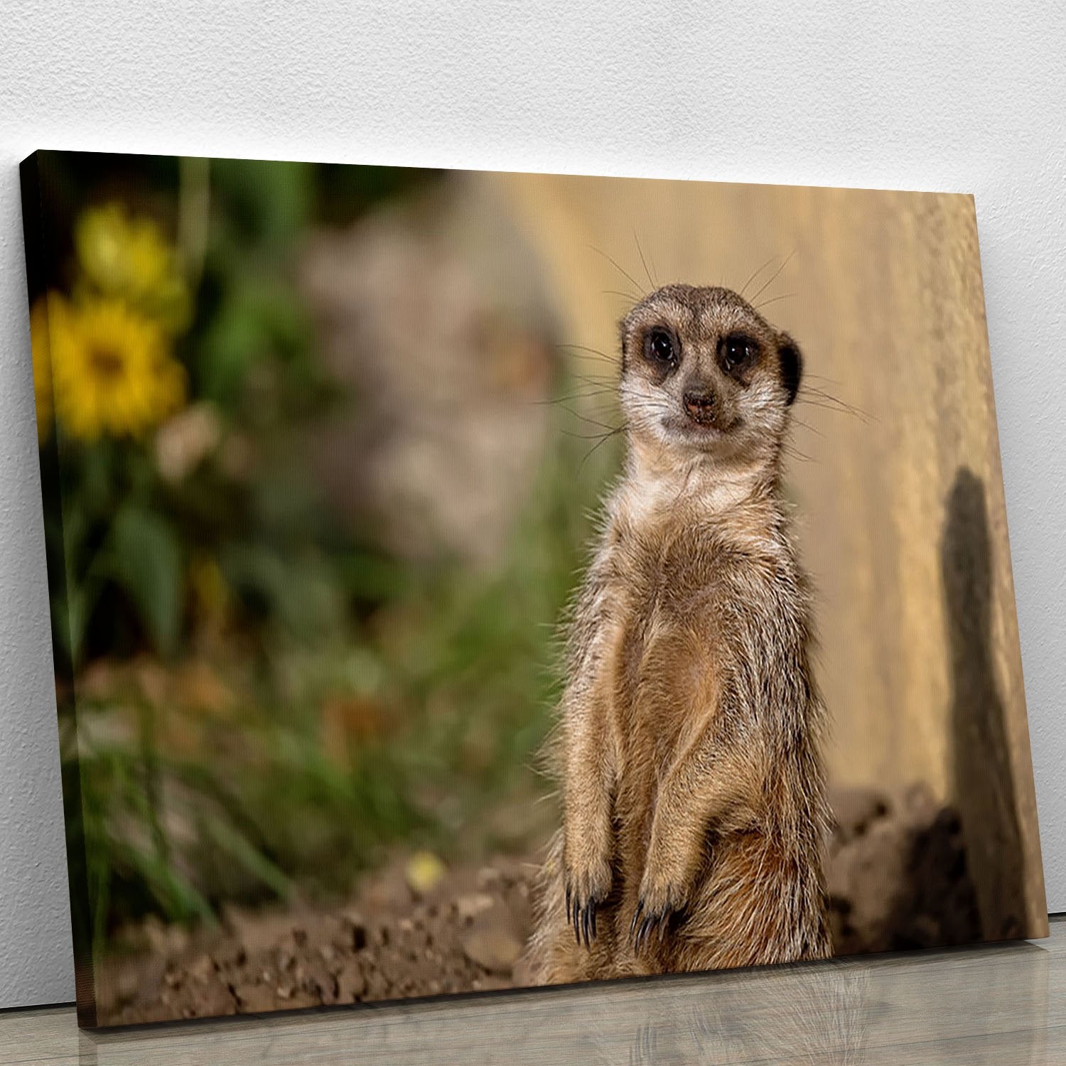 Meerkat in the wild portrait Canvas Print or Poster
