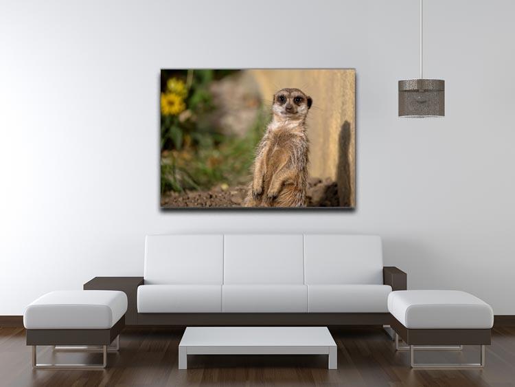 Meerkat in the wild portrait Canvas Print or Poster - Canvas Art Rocks - 4