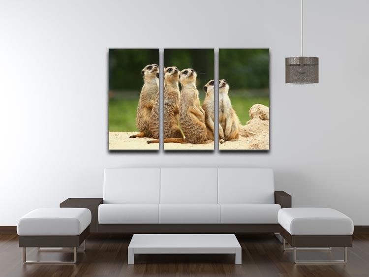 Meerkats Suricata all sit together 3 Split Panel Canvas Print - Canvas Art Rocks - 3