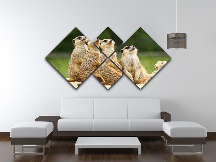 Meerkats Suricata all sit together 4 Square Multi Panel Canvas - Canvas Art Rocks - 3