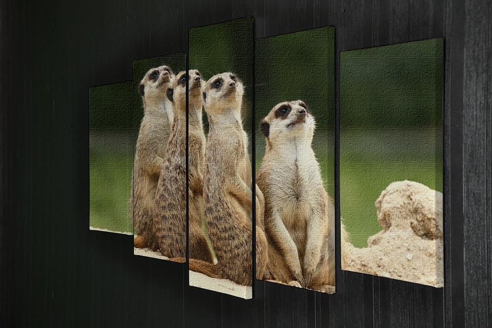 Meerkats Suricata all sit together 5 Split Panel Canvas - Canvas Art Rocks - 2