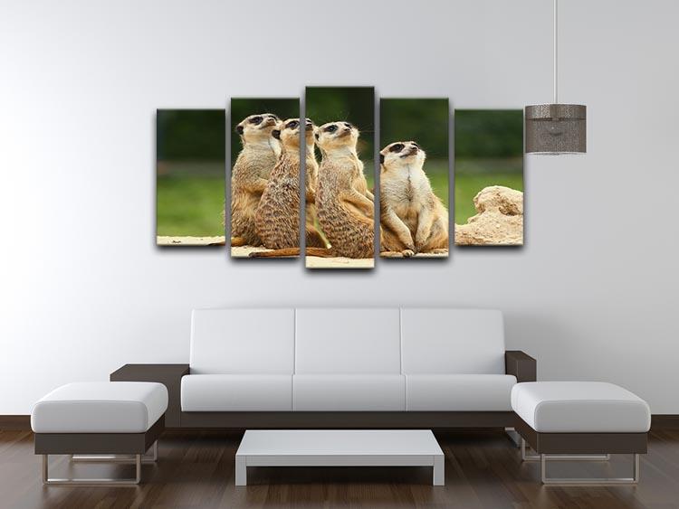 Meerkats Suricata all sit together 5 Split Panel Canvas - Canvas Art Rocks - 3