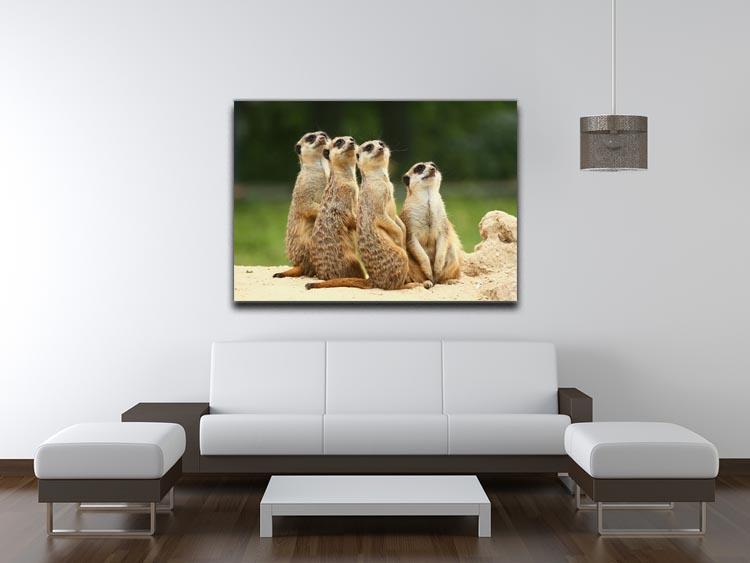 Meerkats Suricata all sit together Canvas Print or Poster - Canvas Art Rocks - 4