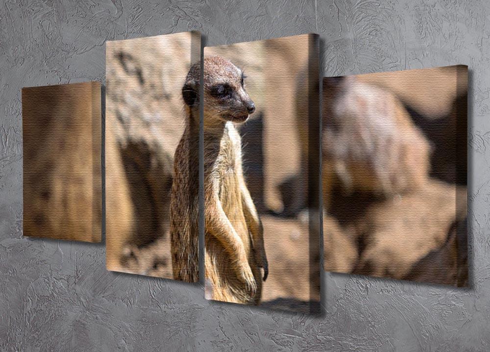Meerkats in the wild 4 Split Panel Canvas - Canvas Art Rocks - 2