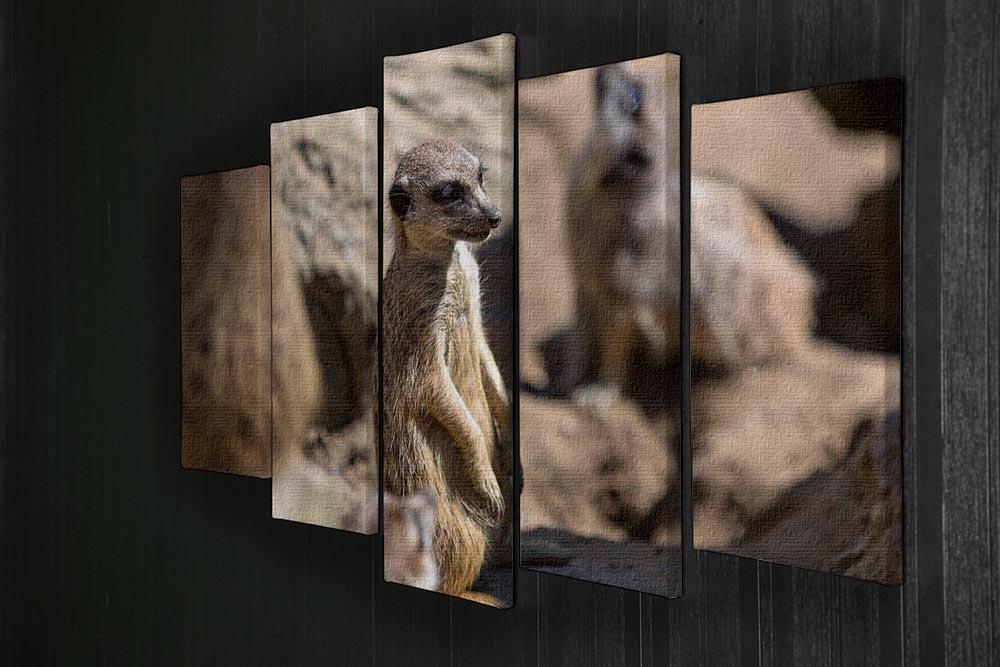 Meerkats in the wild 5 Split Panel Canvas - Canvas Art Rocks - 2