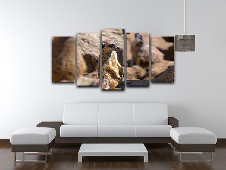 Meerkats in the wild 5 Split Panel Canvas - Canvas Art Rocks - 3