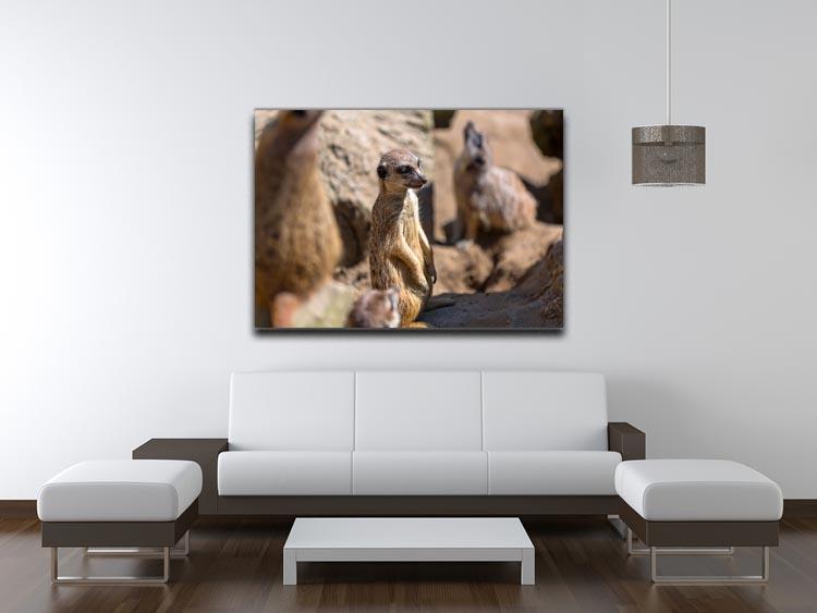 Meerkats in the wild Canvas Print or Poster - Canvas Art Rocks - 4