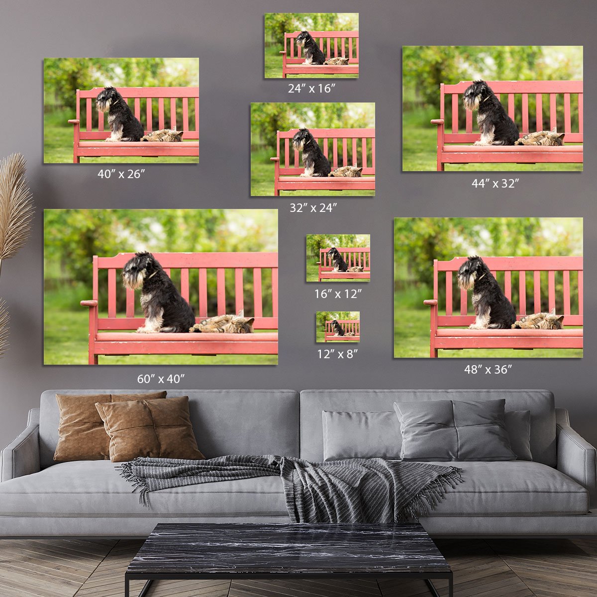 Miniature schnauzer turned back to its cat friend Canvas Print or Poster