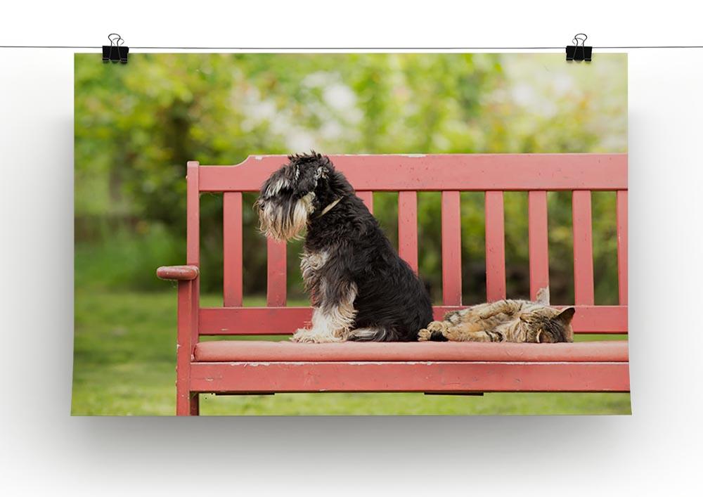 Miniature schnauzer turned back to its cat friend Canvas Print or Poster - Canvas Art Rocks - 2