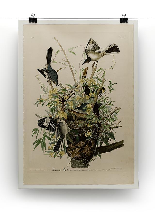Mocking Bird by Audubon Canvas Print or Poster - Canvas Art Rocks - 2