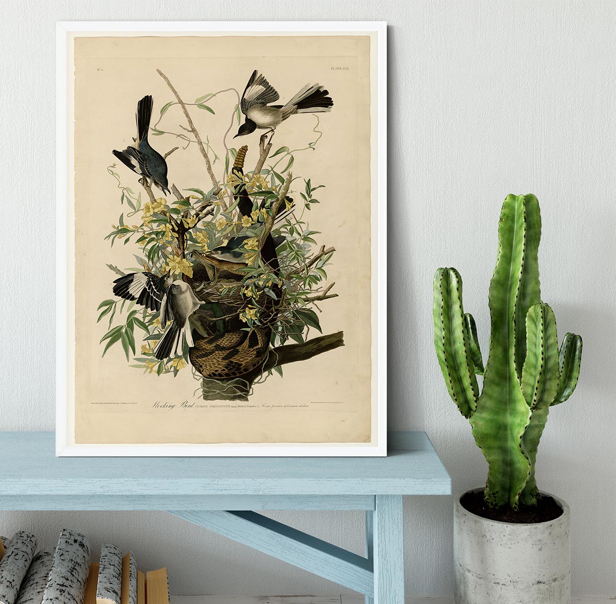 Mocking Bird by Audubon Framed Print - Canvas Art Rocks -6