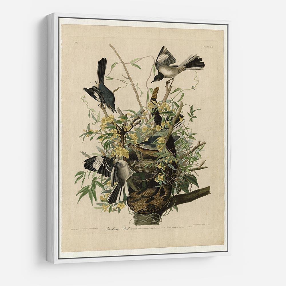 Mocking Bird by Audubon HD Metal Print - Canvas Art Rocks - 7