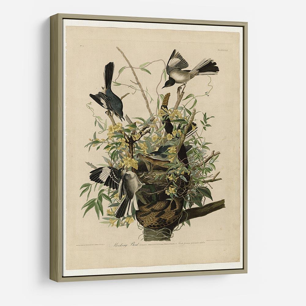 Mocking Bird by Audubon HD Metal Print - Canvas Art Rocks - 8