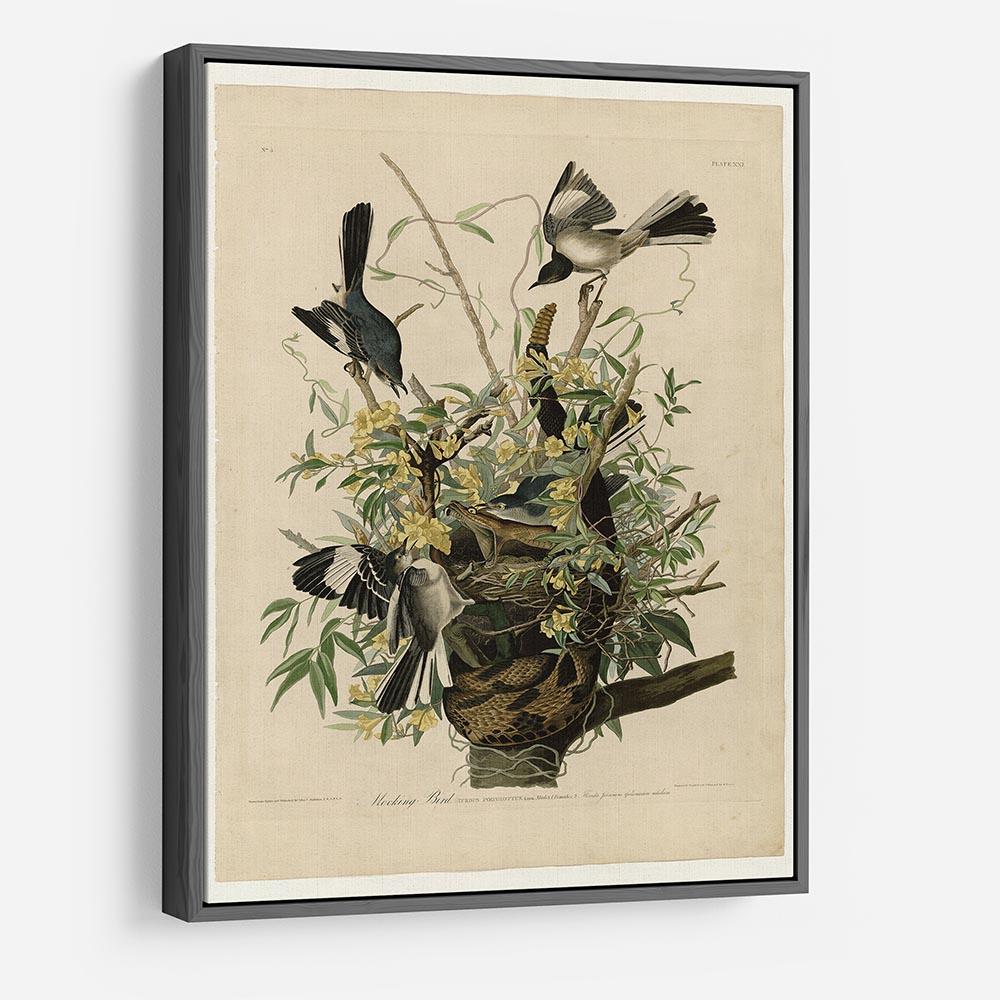 Mocking Bird by Audubon HD Metal Print - Canvas Art Rocks - 9