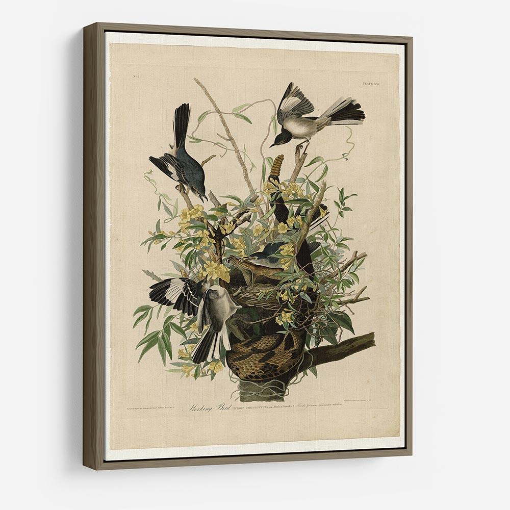 Mocking Bird by Audubon HD Metal Print - Canvas Art Rocks - 10