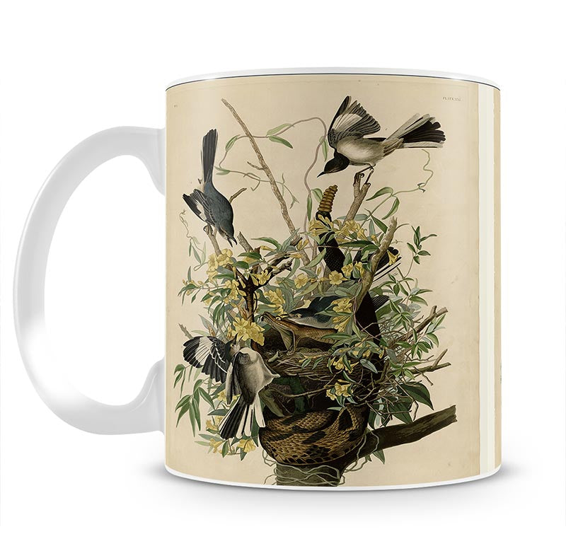 Mocking Bird by Audubon Mug - Canvas Art Rocks - 1
