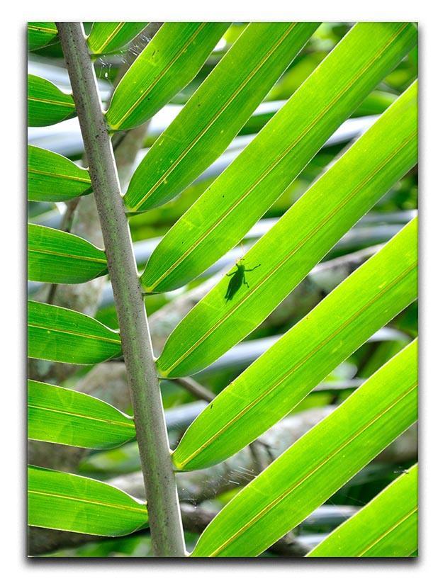 Morning in the forest Canvas Print or Poster  - Canvas Art Rocks - 1