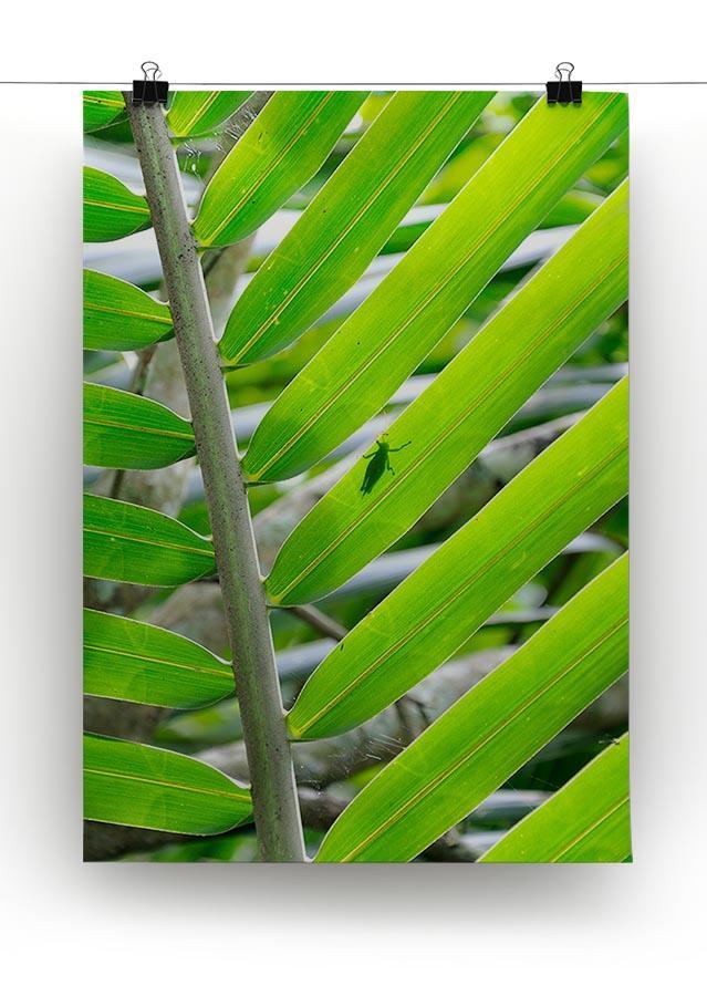 Morning in the forest Canvas Print or Poster - Canvas Art Rocks - 2