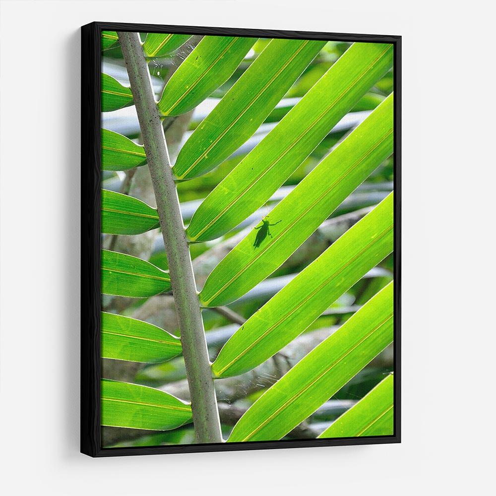 Morning in the forest HD Metal Print