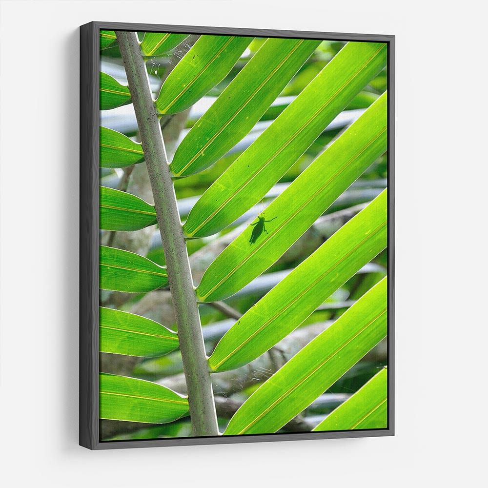 Morning in the forest HD Metal Print