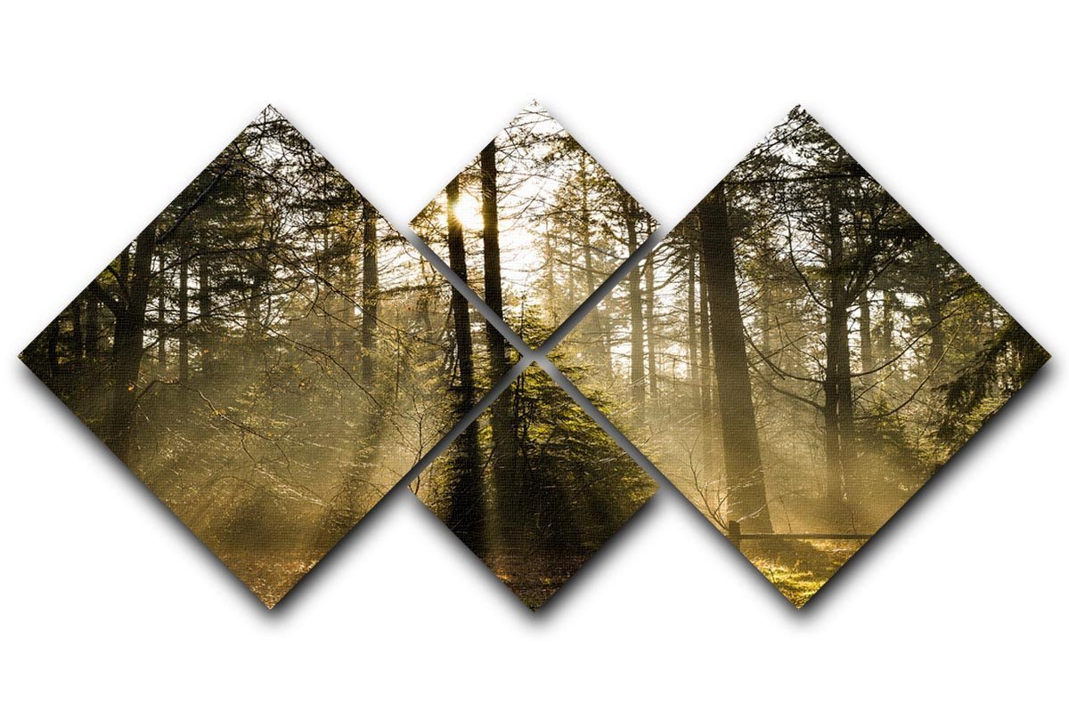 Morning sun in the forrest 4 Square Multi Panel Canvas  - Canvas Art Rocks - 1