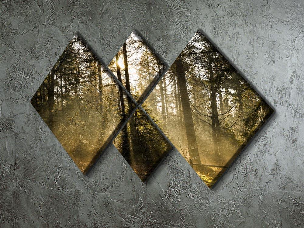 Morning sun in the forrest 4 Square Multi Panel Canvas  - Canvas Art Rocks - 2