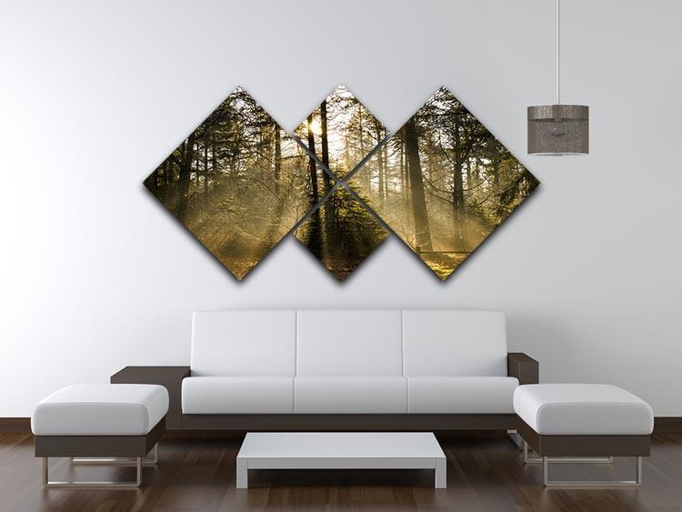 Morning sun in the forrest 4 Square Multi Panel Canvas  - Canvas Art Rocks - 3