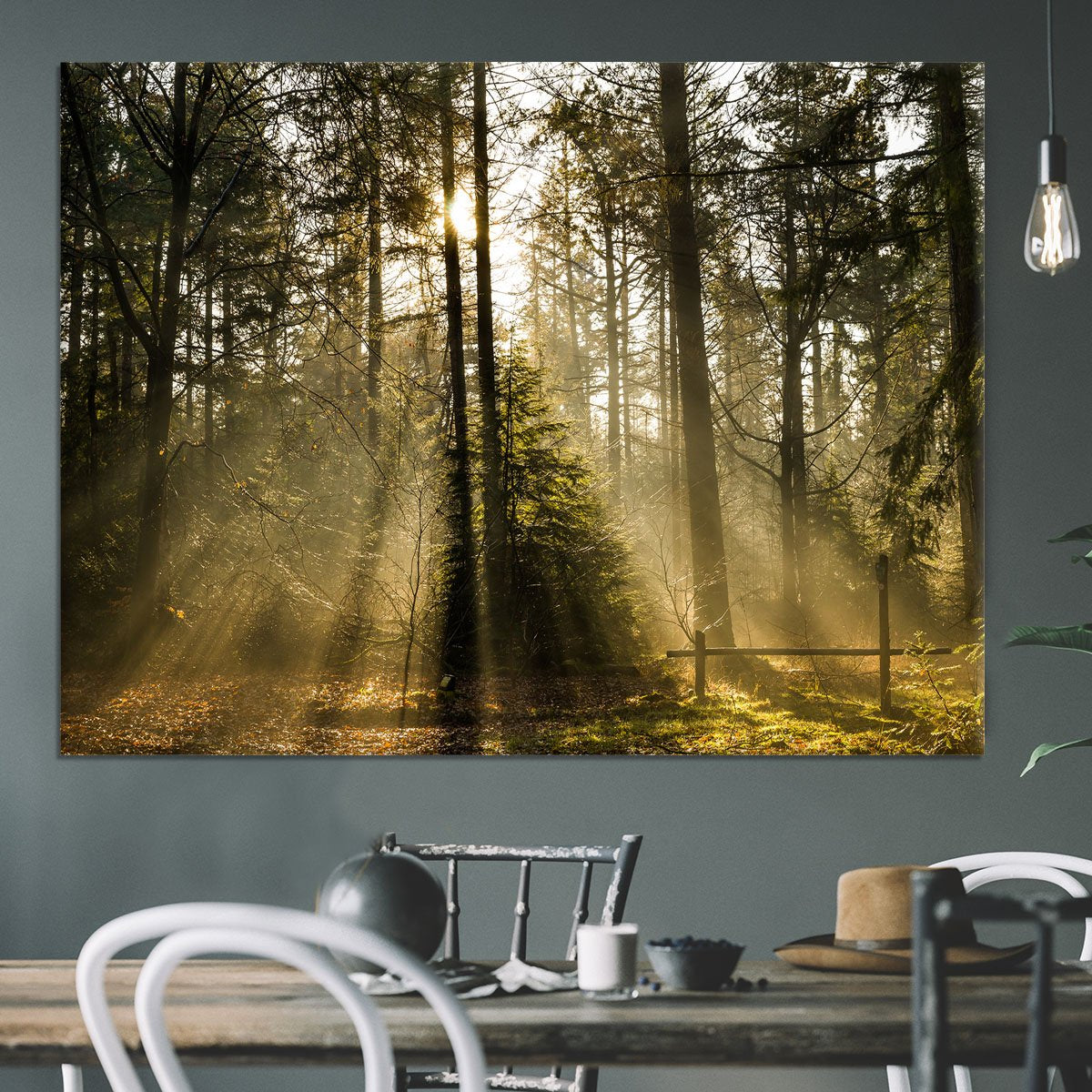 Morning sun in the forrest Canvas Print or Poster