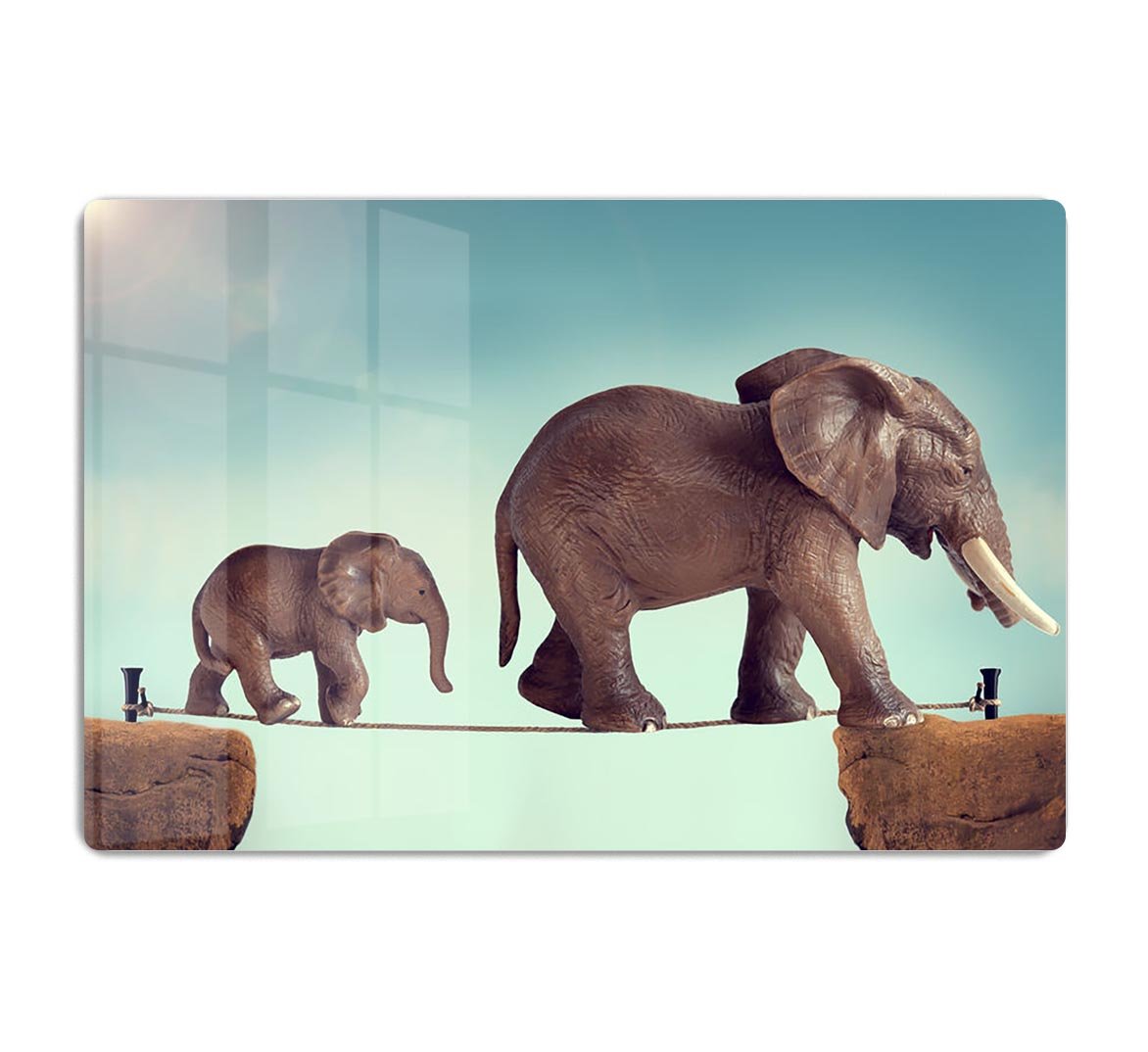Mother and baby elephant on a tightrope HD Metal Print - Canvas Art Rocks - 1